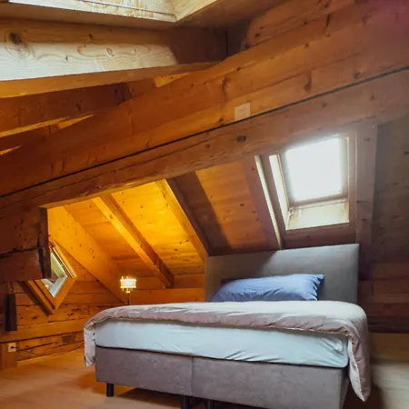 Grosszuegige Leiterli Appartement