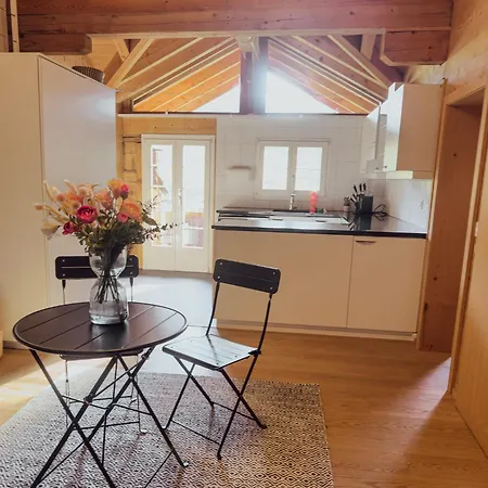 Grosszuegige Leiterli Apartman Lenk