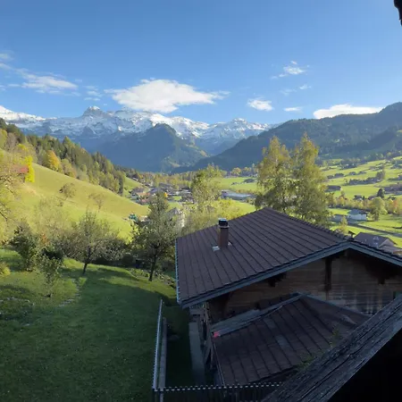 Grosszuegige Leiterli Lenk